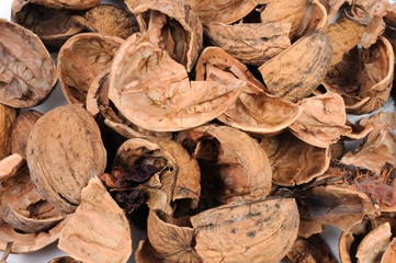 Shell from walnuts. Front view.