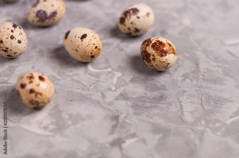 Canvas Prints Scattered lot of spotted fresh quail eggs on old broken worn gray cement floor with copy space