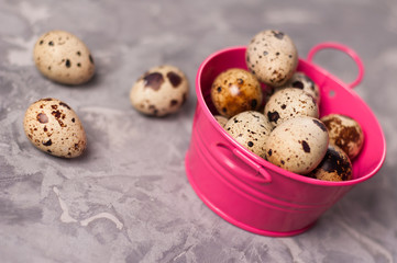 One pink metal rural basin with handles full of spotted fresh quail eggs beside three scattered eggs on old broken worn gray cement floor