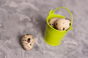 One green metal bucket with handle full of spotted fresh quail eggs near one egg on old broken worn...