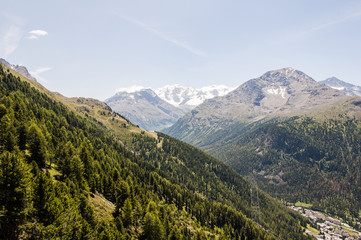 Fototapeta na wymiar Pontresina, Bernina, Val Bernina, Piz Palü, Alpen, Diavolezza, Wanderweg, Oberengadin, Graubünden, Sommer, Schweiz