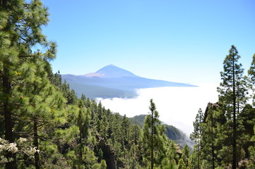 Teneriffa 2018