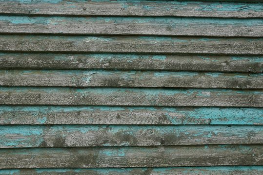 gray green texture of thin wooden boards in the wall