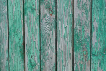 Naklejka premium gray green texture of wooden boards on the fence