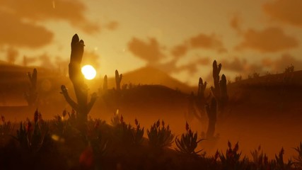 Saguaro Cactus in Desert against beautiful Morning Sun, pan and zoom out