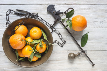 Search Photos By Giovanna