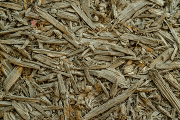 wood texture, background