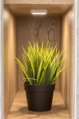 Artificial flower on the shelf in the closet with a new design and lighting.