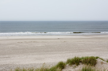 Fototapeta na wymiar North Sea beach in Denmark. Dune grass.