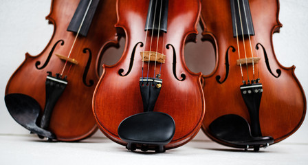 Fototapeta premium The triple violin put on background