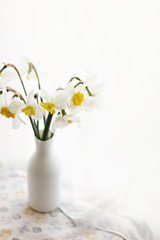 beautiful amazing yellow daffodils in modern white vase on background of morning light from window