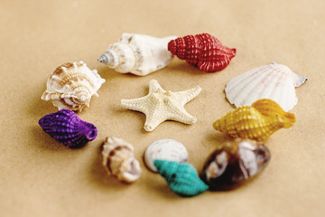Fototapeta na wymiar colorful shells and sea star on sandy craft background, summer vacation travel concept, space for text