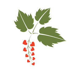 raspberry, love, heart, logo, sign, red