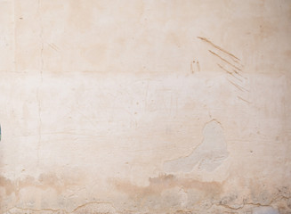 Pared natural