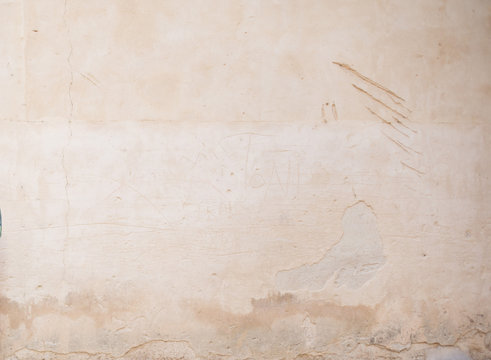 Pared natural