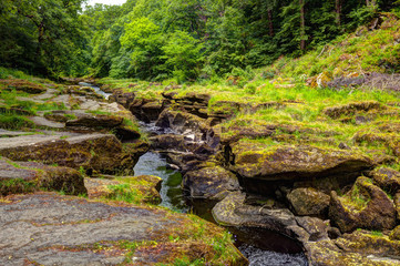 River in Yorkshire Dales near Bolton Abbey. UK