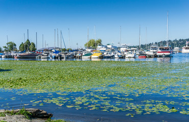 Seattle Boat Marina 2