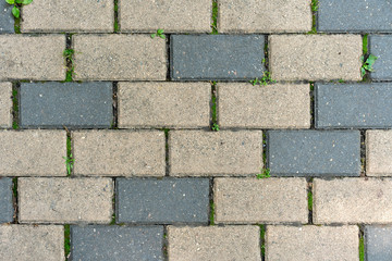 Beautiful background of multi-colored tiles.