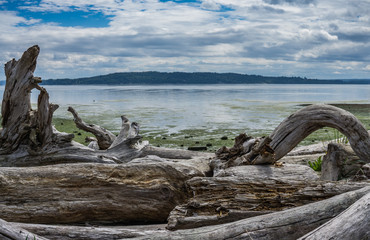 Ocean Low Tide Landscape 3
