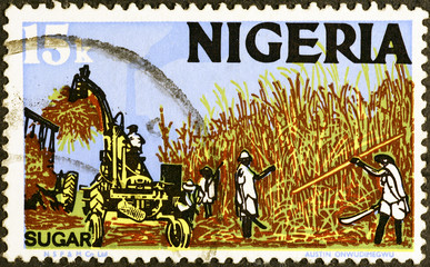 Sugar cane harvesting on postage stamp of Nigeria