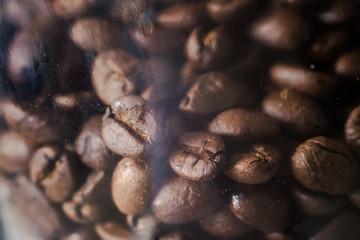 Fresh Coffee seed in jar, marco closeup in dark tone