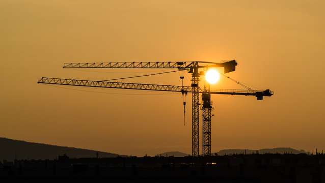 2 Kr&auml;ne bei Sonnenuntergang, beide nach links weisend
