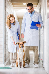 two veterinarians standing with dog in corridor of veterinary clinic
