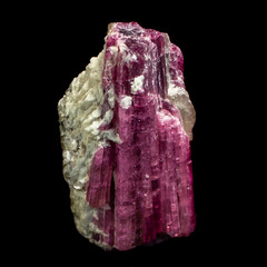 Natural mineral elbaite tourmaline on a black background