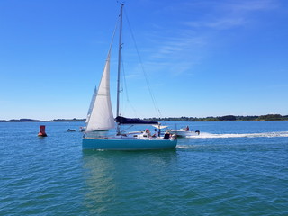 voilier en mer,dans le golfe du morbihan