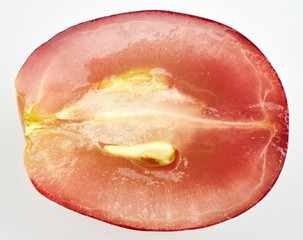grape dissect