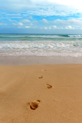 footprints in the sand on the beach