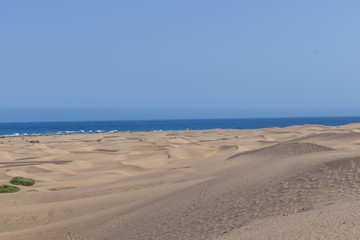 dunes of gran canaria