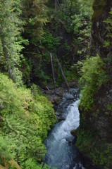 River falling in Olympic National Park