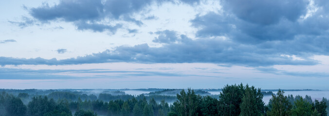 Misty Forest on Summer Evening