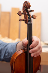 Violine in der Hand