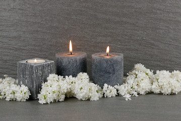 Kondulenz Photos Royalty Free Images Graphics Vectors Videos Adobe Stock