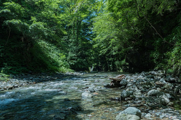 魚野川源流域