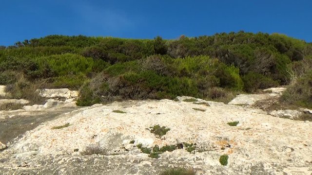 Panoramic view of the Gargano Coast. The ruin of an ancient watchtower to counteract the attack of Turkish ships. Apulia - Italy