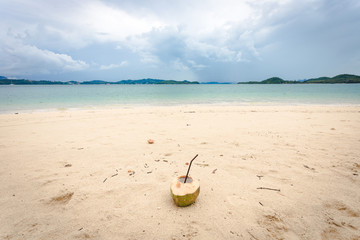 Fototapeta na wymiar fresh drinking coconut put on the beach with some branch broke from pine tree and trash on the sand