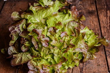 Salatkopf Eichblatt auf Holztisch Rustikal	