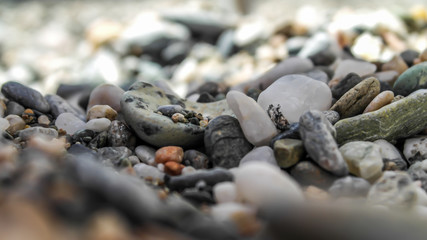 Close Capture On Pebbles At The Beach	