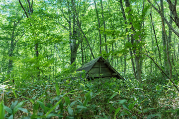 山中の朽ちた小屋