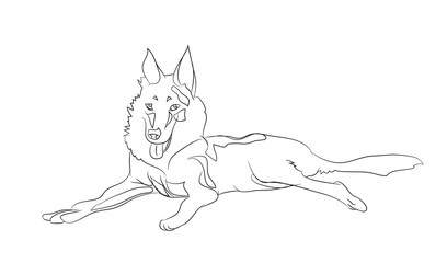 dog lies, lines, vector,