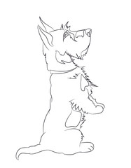 dog asking, lines, vector