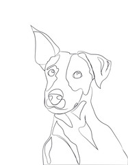 dog portrait, lines, vector