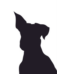 dog portrait silhouette, vector