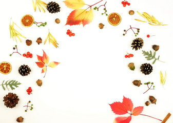 Autumn composition background. Frame pattern made of autumn tree leaves, cones, acorns, on white background. Top view. Copy space. Flat lay