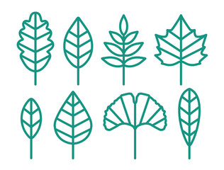Beautiful Leave Set. Simple Vector.