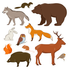 Set of forest wild animals and birds. Deer, fox, hare, wolf, etc. Vector illustration 
