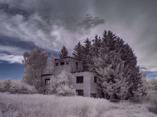 infrared photography - ir photo of landscape with tree under sky with clouds - the art of our world...